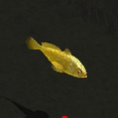 �������Я�ֹ��棬�������紫����ʵ��ů