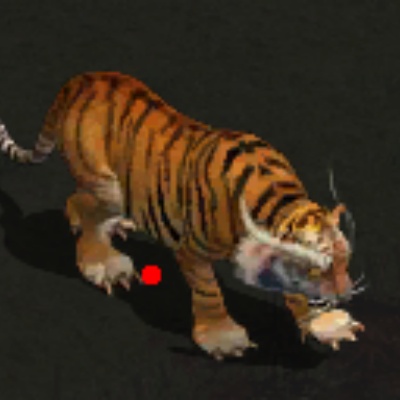 ��ʦ���꼼���鱬��ʵ���������ͼ�Ա�